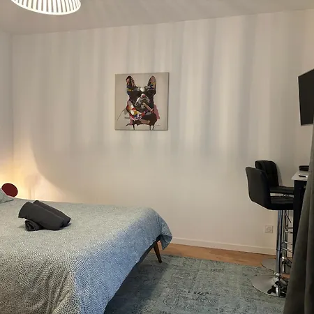 Les De Clement Apartment Poitiers