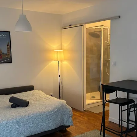 Les De Clement Apartment Poitiers