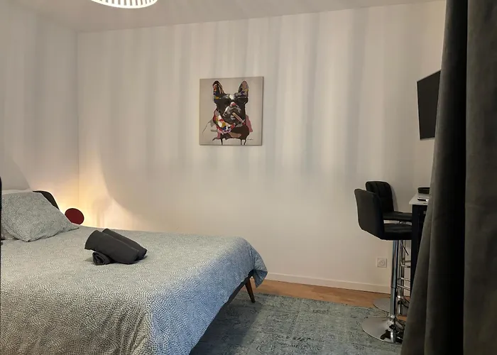 Les De Clement Apartment Poitiers