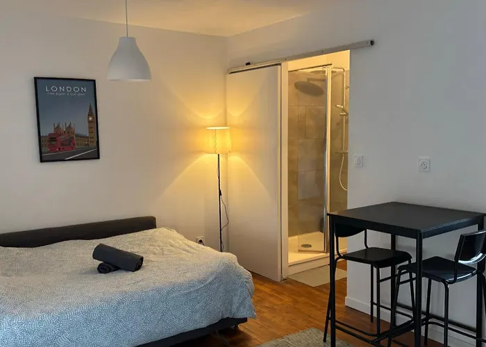 Les De Clement Apartment Poitiers